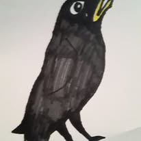 Crow crying